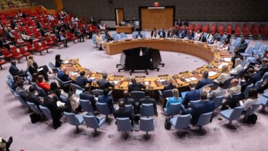 the UN Security Council