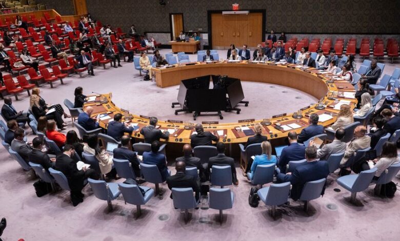 the UN Security Council